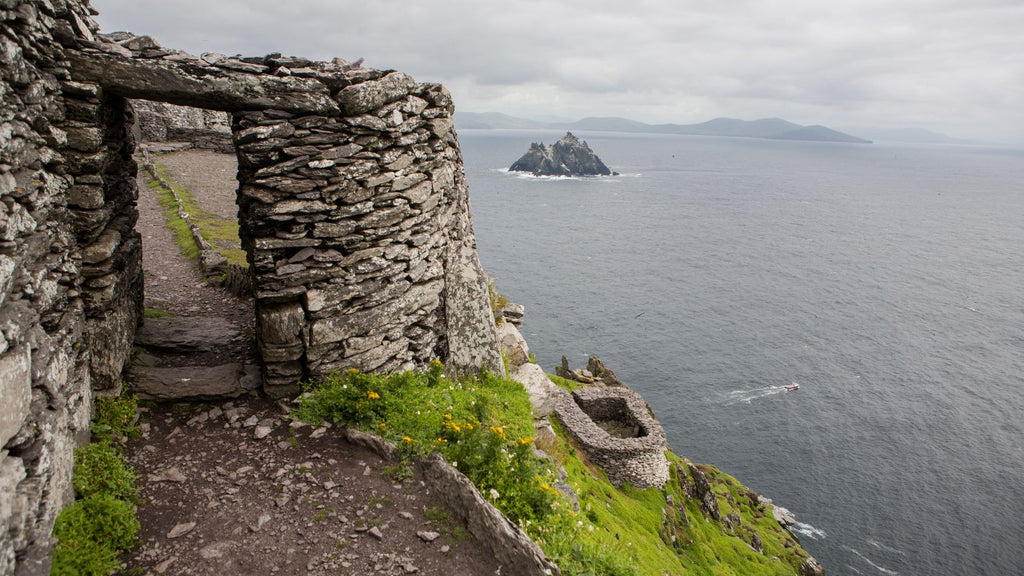 puffin habitat