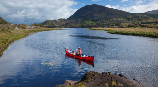 Killarney National Park - Attractions in Kerry