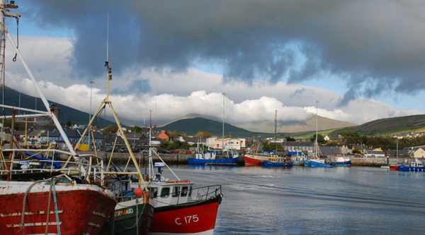 Dingle Harbour - Attractions in Kerry