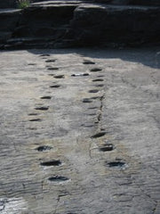 Tetrapod Trackway Valentia Island