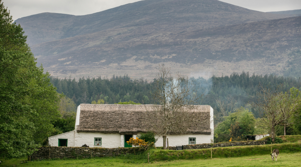 Muckross Farms - Attractions in Kerry