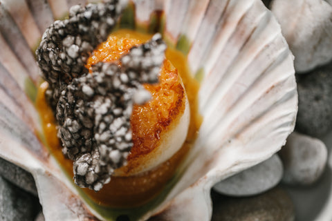 scottish scallops with squid ink and thai curry sauce