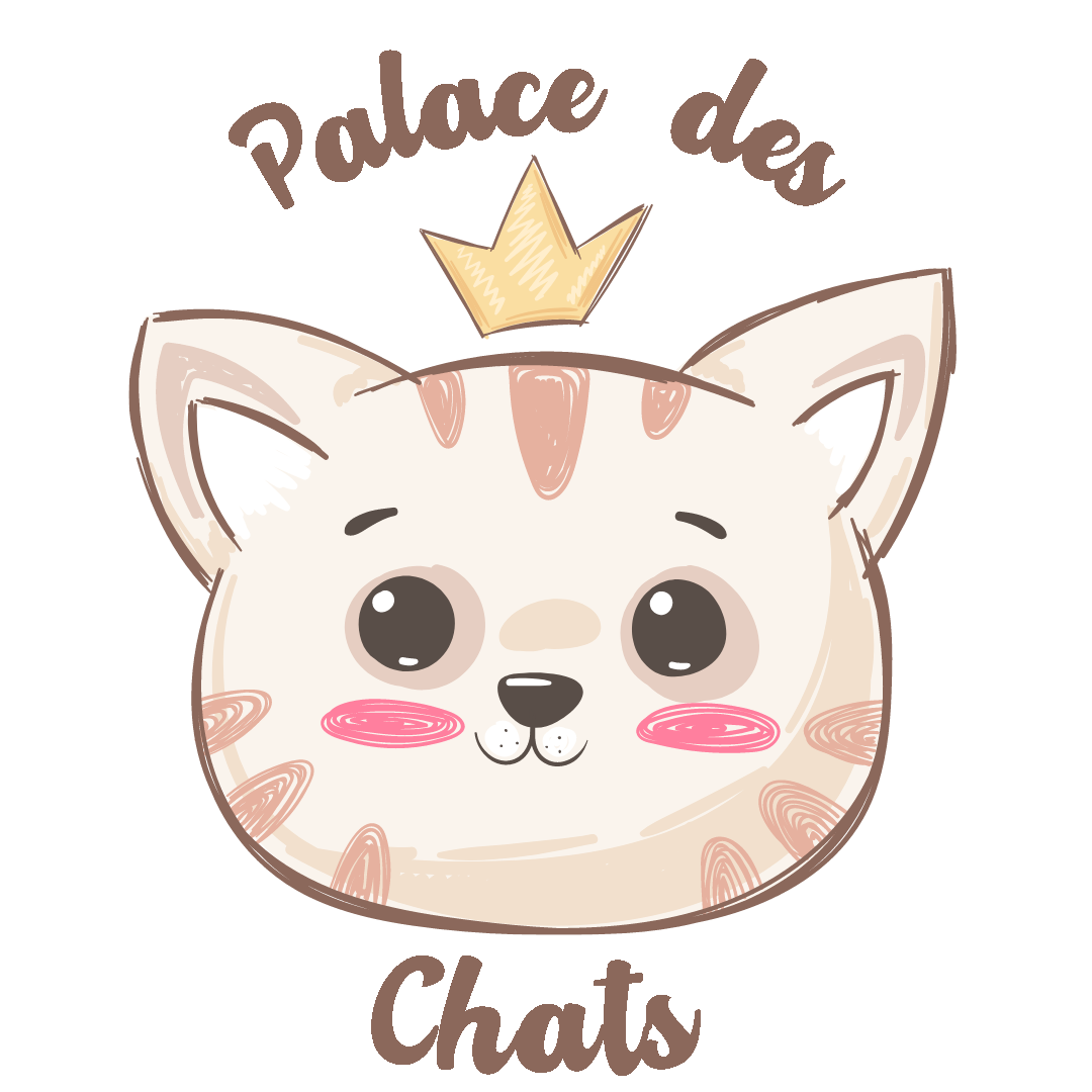 Le Palace Des Chats Tout Pour Les Passionnes De Chat Le Palace Des Chats