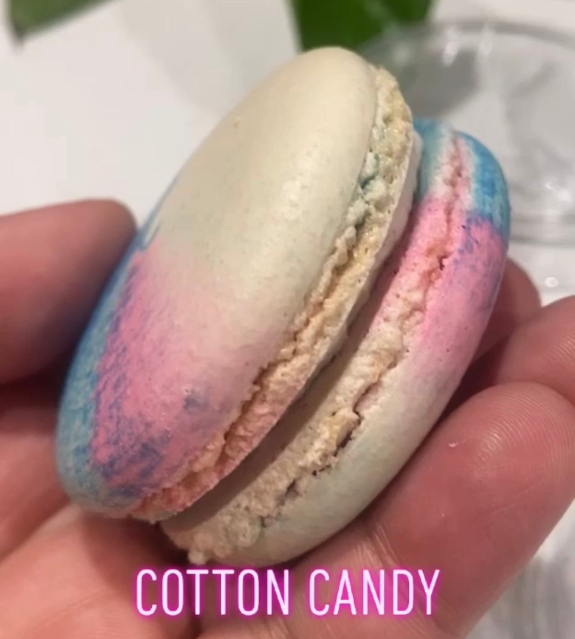 50 Pack the Earth Cotton Candy French Macaron Value Pack 