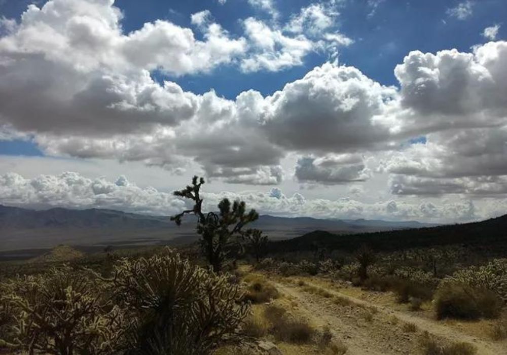 The Mojave Road Overlanding Trail