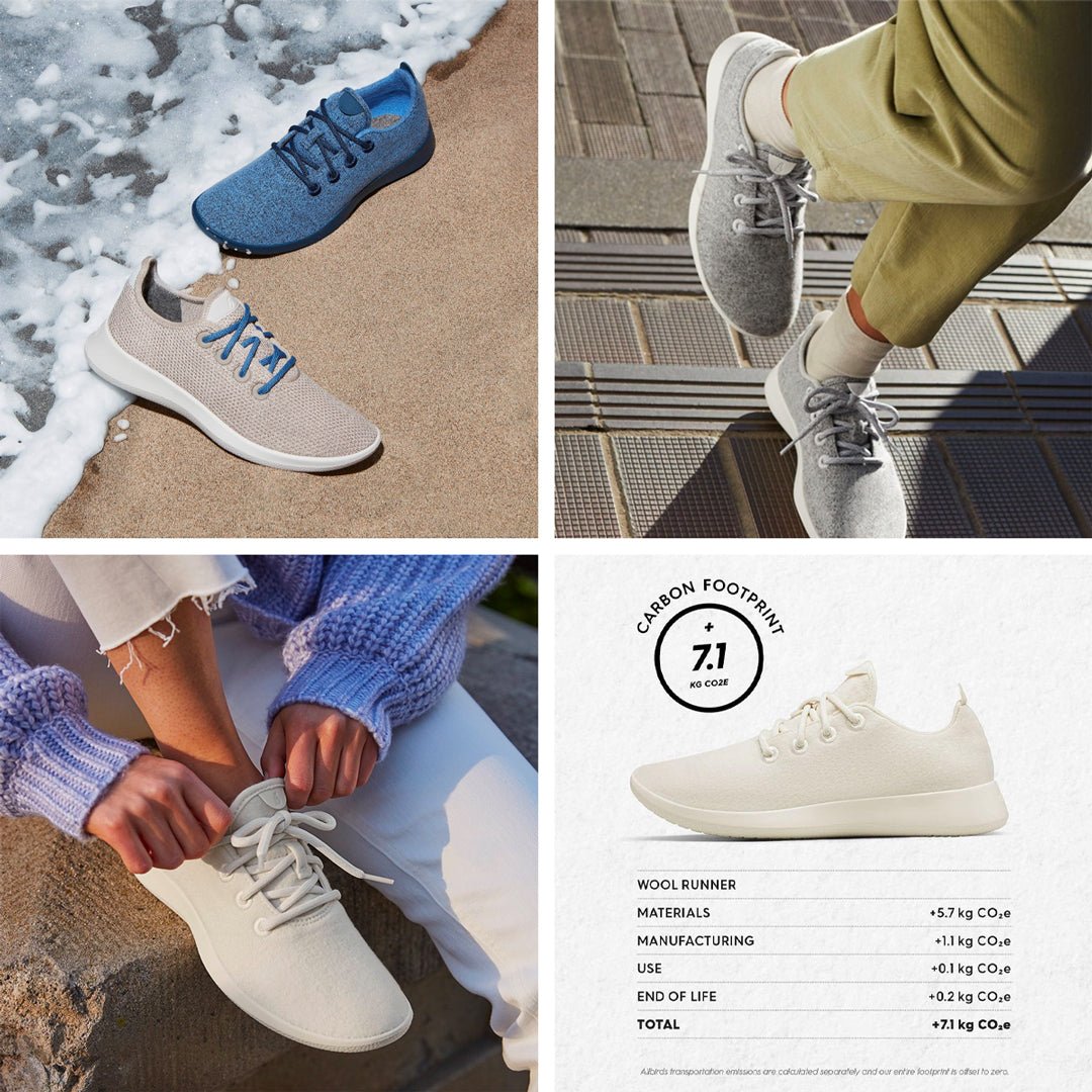 Allbirds Shoes Wear Anywhere