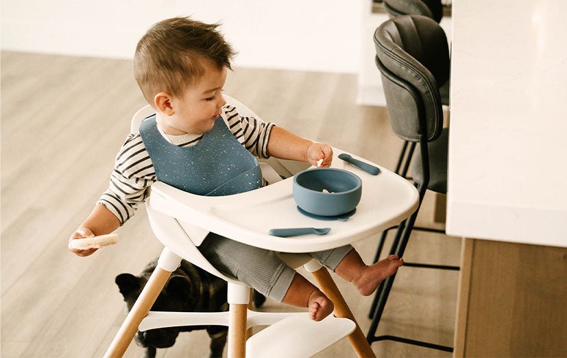 lalo vs stokke clikk high chair