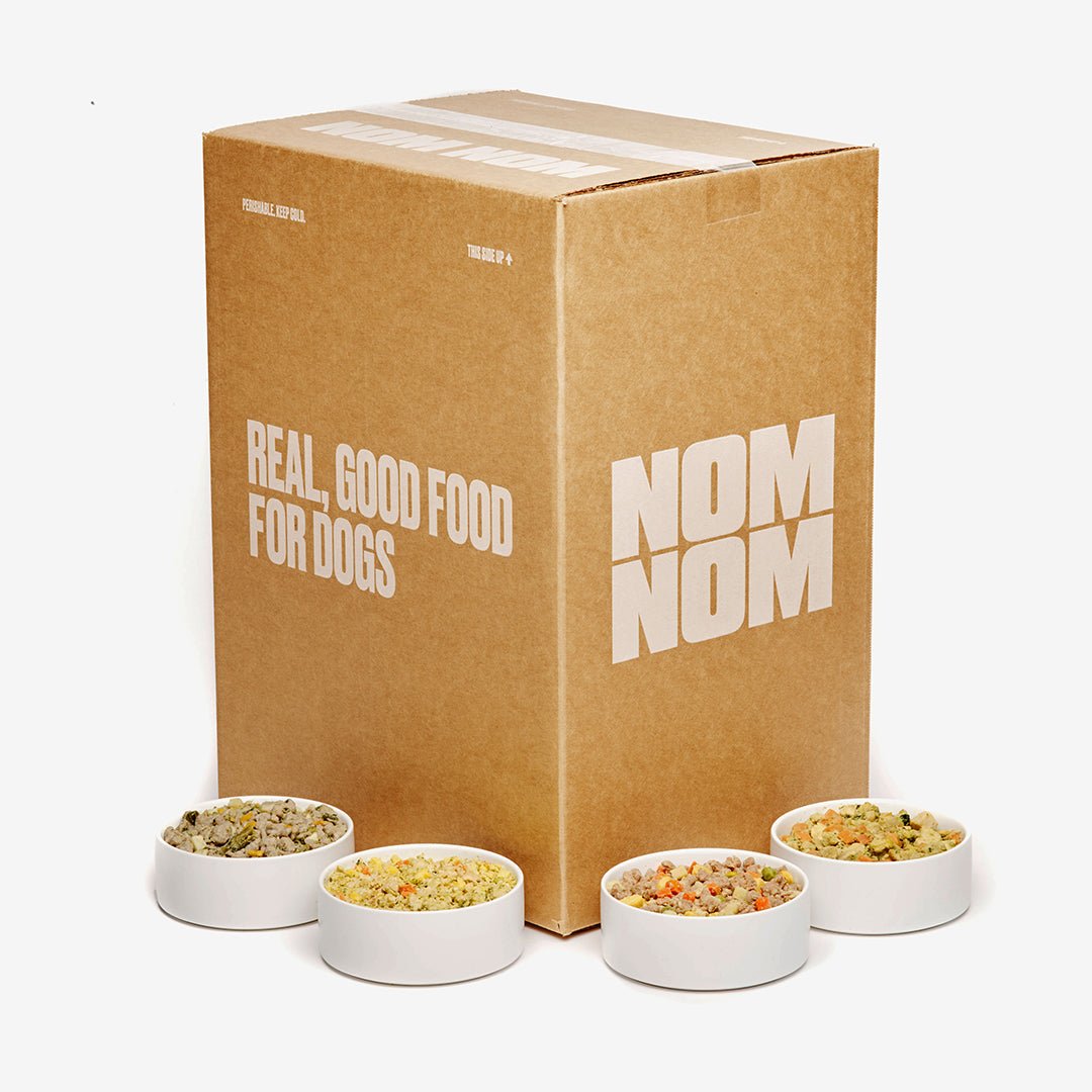 Nom Nom Dog Food Review