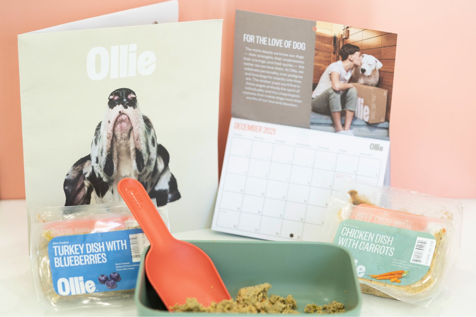 Ollie Custom Dog Food Subscription