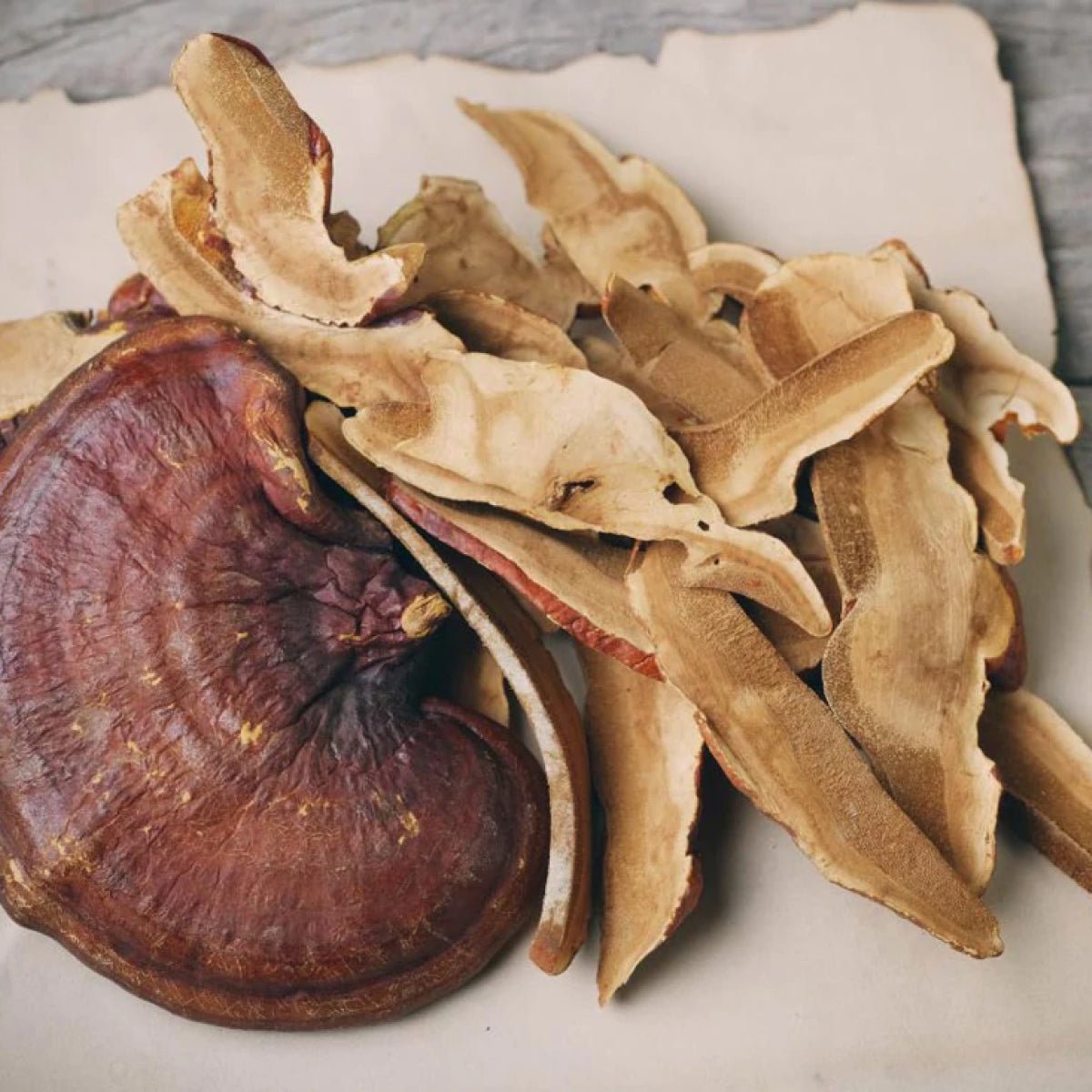 reishi mushrooms