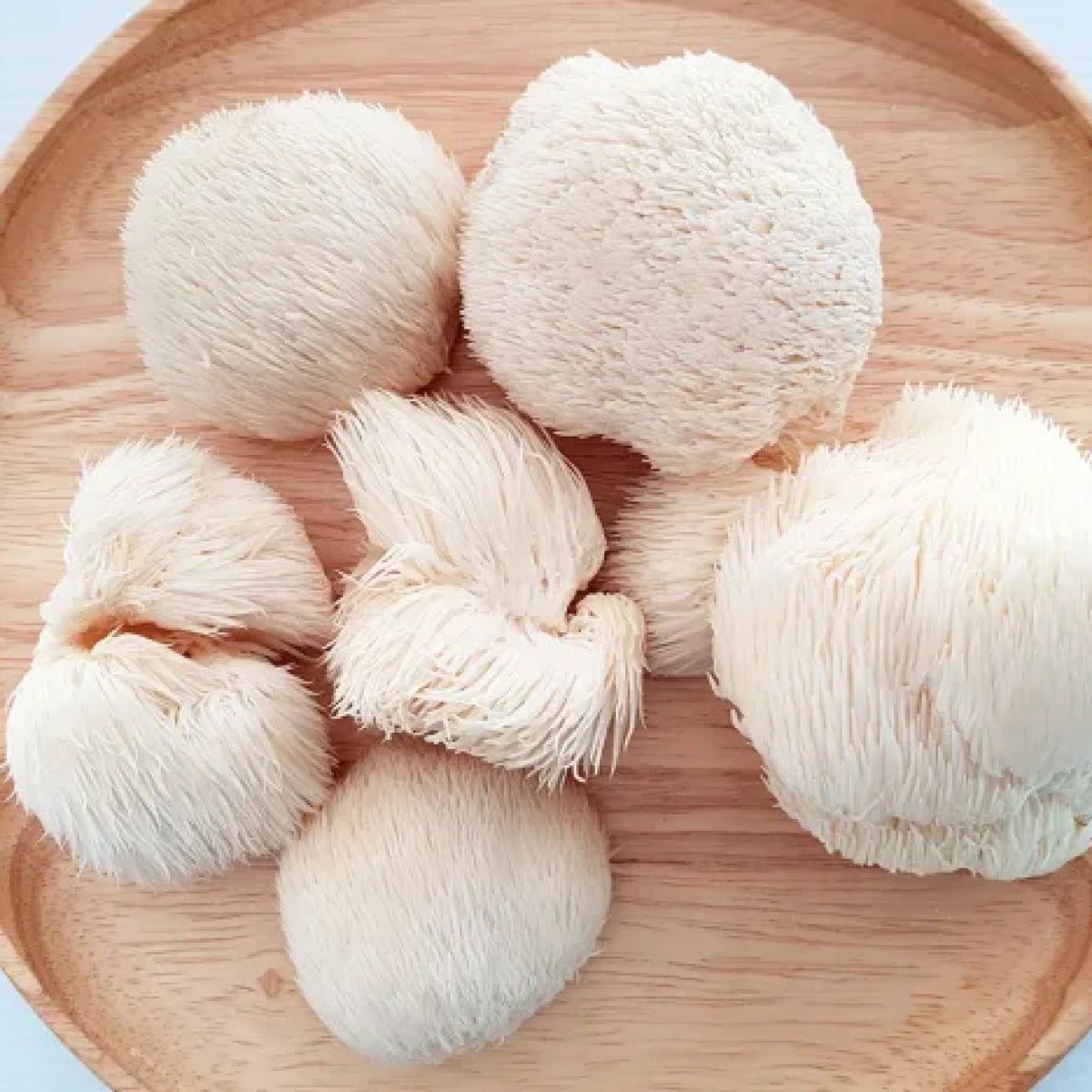 lions mane mushrooms