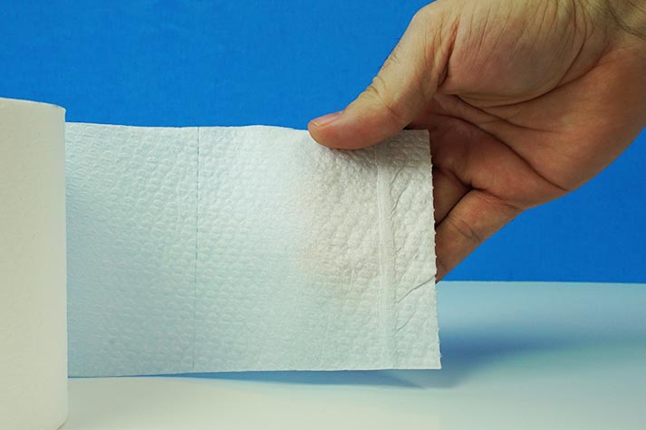 REEL Toilet Paper Sheet