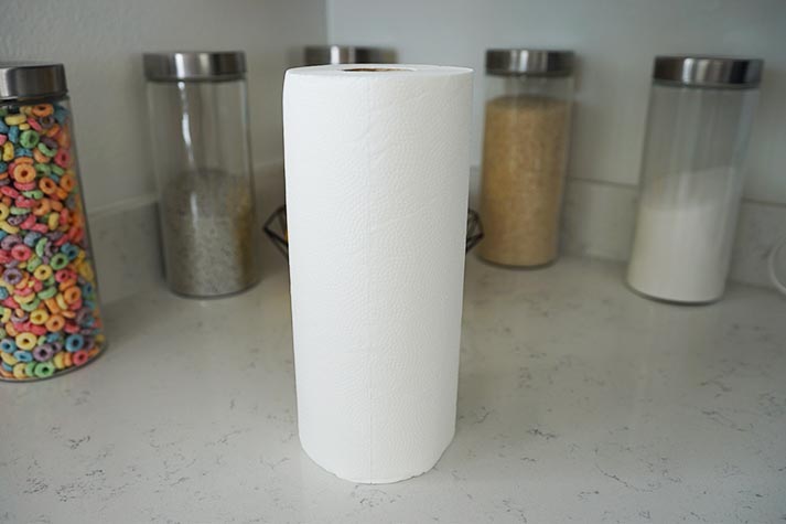 Reel Toilet Paper Review — Better Than Store-Bought?