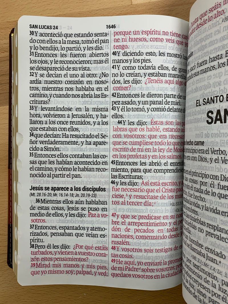 estructura de la biblia reina valera 1960