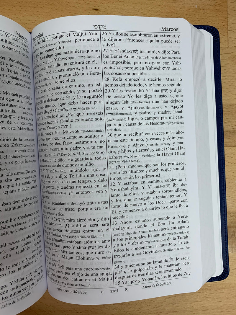 biblia sefer davar en pdf