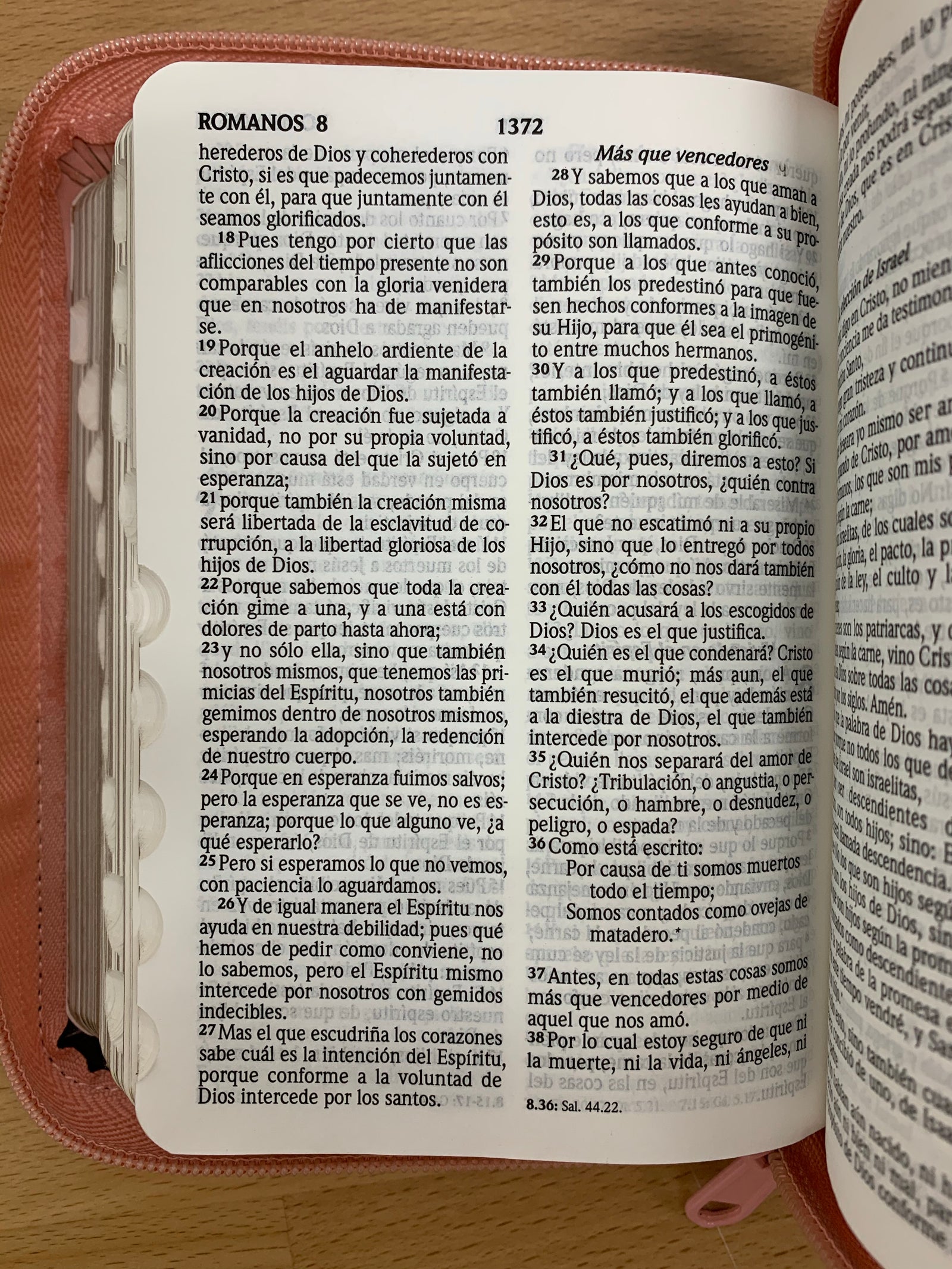 el perdon en la biblia reina valera 1960