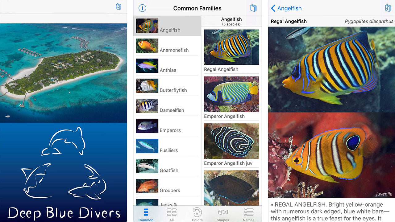 Capturas de pantalla de la app Deep Blue Divers