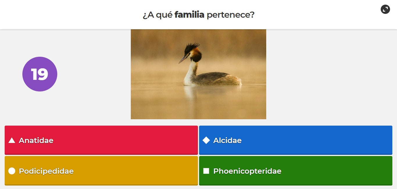 Captura de pantalla de un quiz de Kahoot!