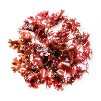Red Seaweed supplement