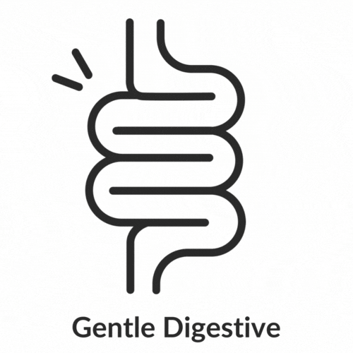 Gental Digestive.png__PID:1594ba0a-4162-48f9-9474-082a8a3a6441
