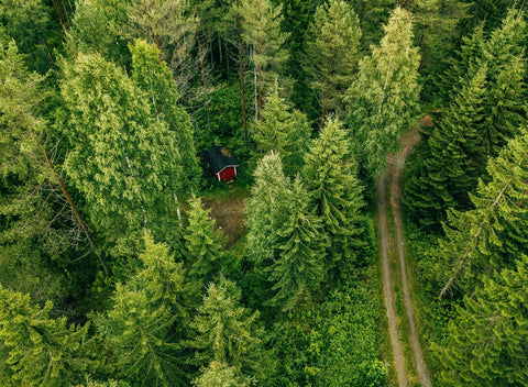 Just Gold Jewellery - aerial view of the road through the spruce forest