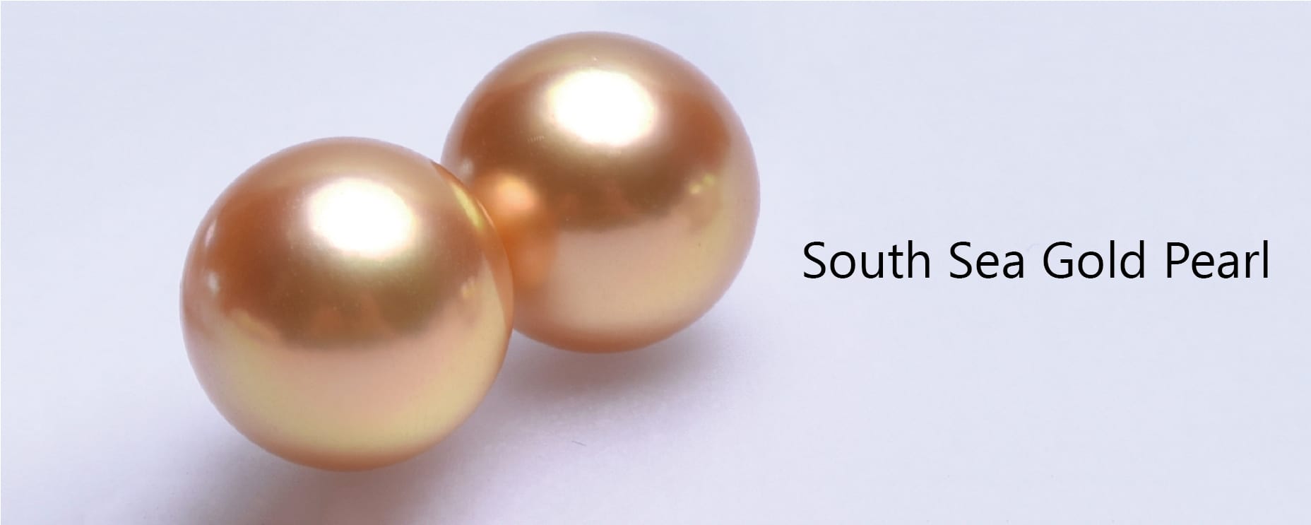 buy_south_sea_golden_pearl_in_bulk