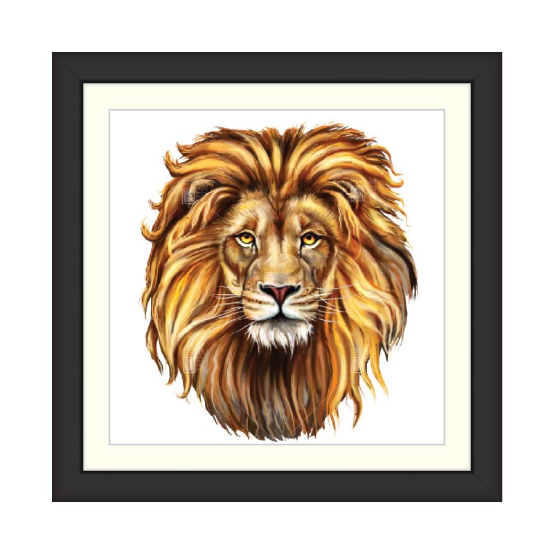 廃番】Picture Glass Face Lion 80x80cm-