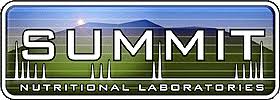 summit labs