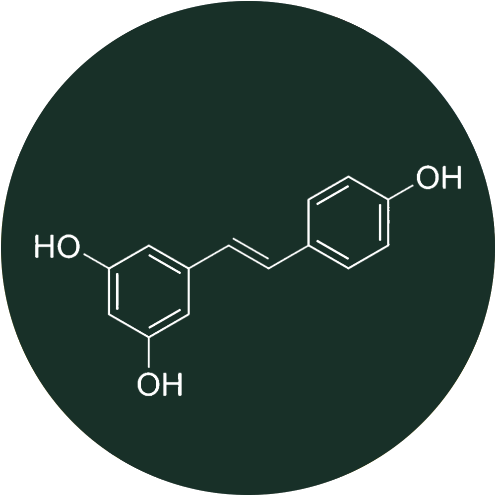 berberine 1200