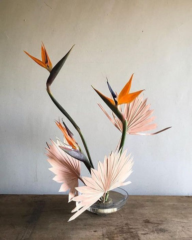 Image of bird of paradise sitting on a table.