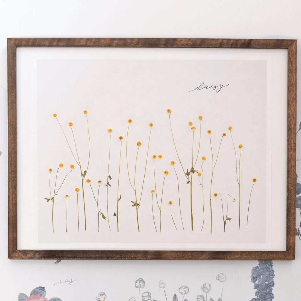 Daisy Prints