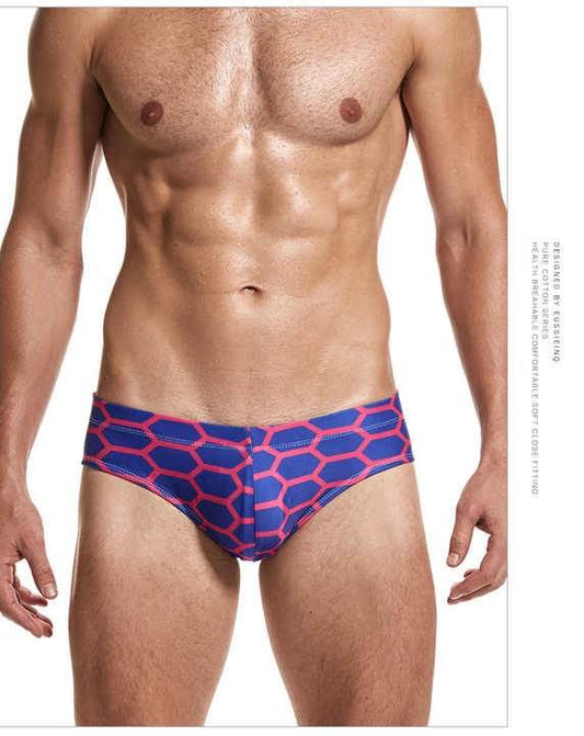 Geometric Print Briefs