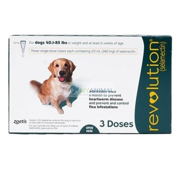 Pet Supplies: Flea and Tick, Heartwormer Treatment at Low Price