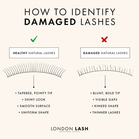 damaged lashes diagram