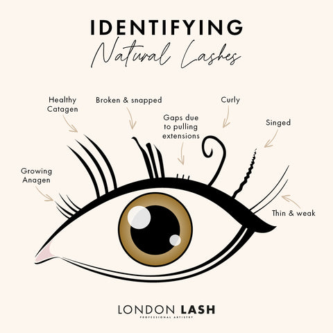 how to identify damaged lashes