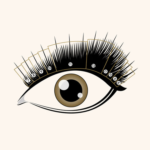 Wispy lash map with premade spikes