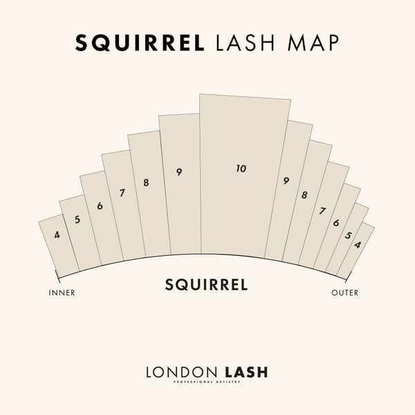 Squirrel lash map for men