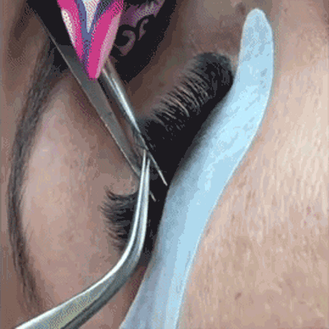 eyelash extensions, stickies, lashes