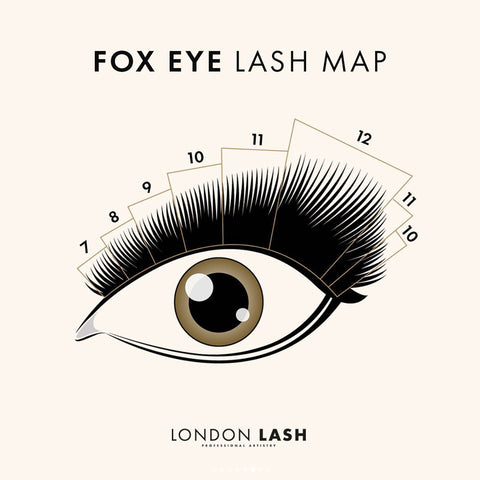 Fox eye lash map