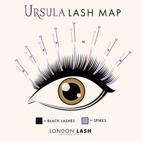 Ursula lash map for lash techs