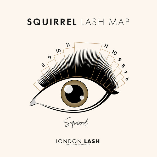 Free squirrel lash map for lash technicians