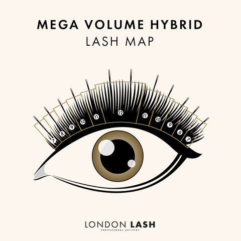 mega volume hybrid lash map