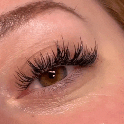 Wet Look lashes with premade spikes
