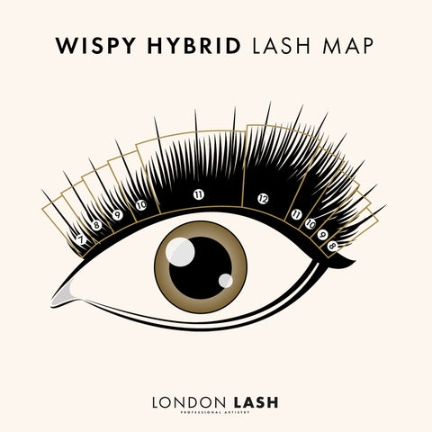 free lash map for wispy hybrid lashes