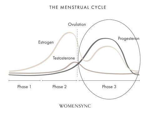 phase 3 menstrual cycle