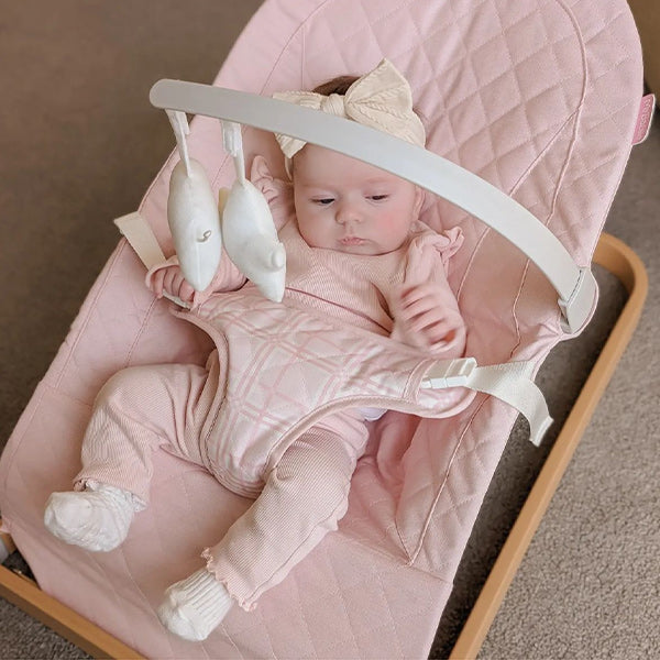 My Babiie Pink Baby Bouncer