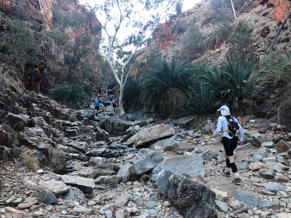 Run Larapinta Multi Day Stage Race - Fox Dammann