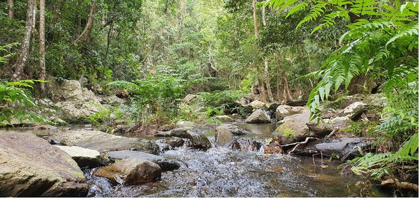 Cairns to Port Douglas Ultra Course