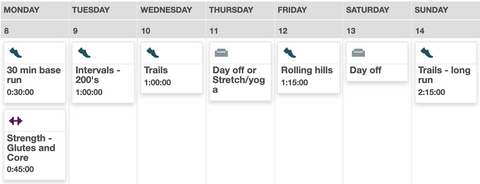 Training Peaks Training log calendar view