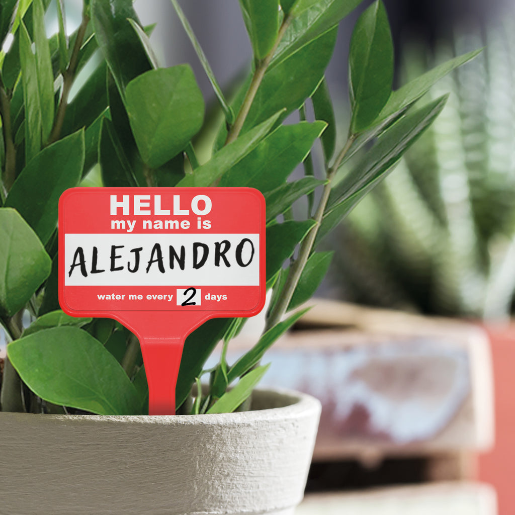 plant name badge in plant pot